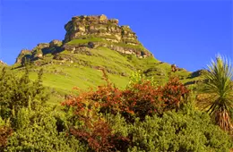 Dharmagiri Sacred Mountain Retreat